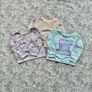 Set of 3 Toddler Girls Graphic and Patterned Sweatshirts - 24 mo